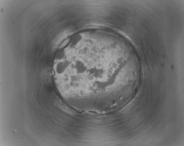 X0000075831355200610061811