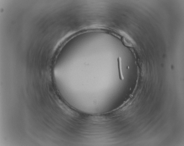 X0000075831356200610061811