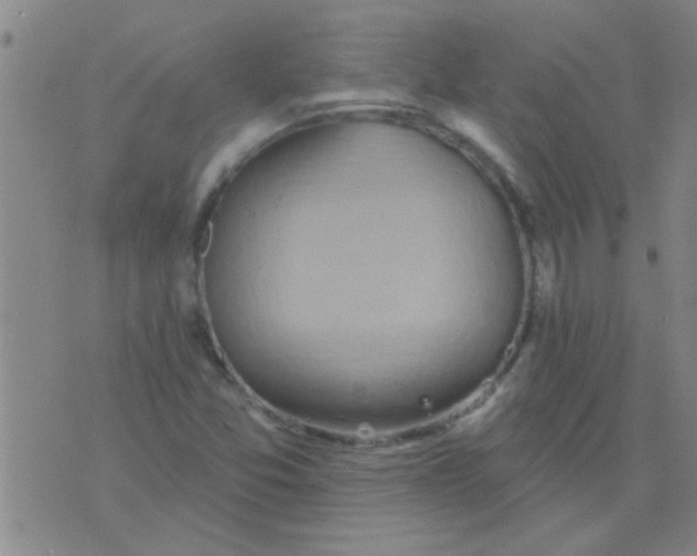 X0000075831357200610061811