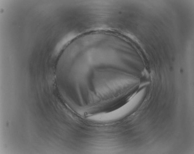 X0000075831359200610061811