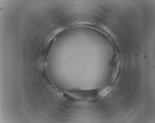 X0000075831361200610061811