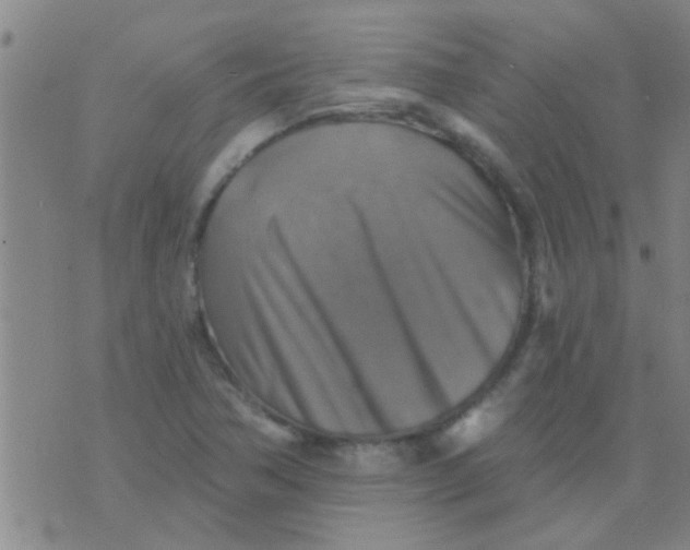 X0000075831362200610061811