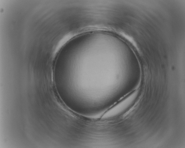 X0000075831365200610061811