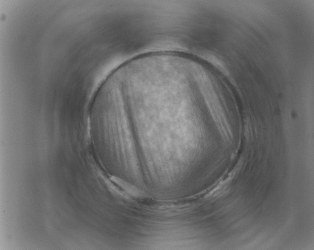 X0000075831366200610061811