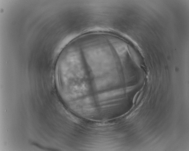 X0000075831367200610061811