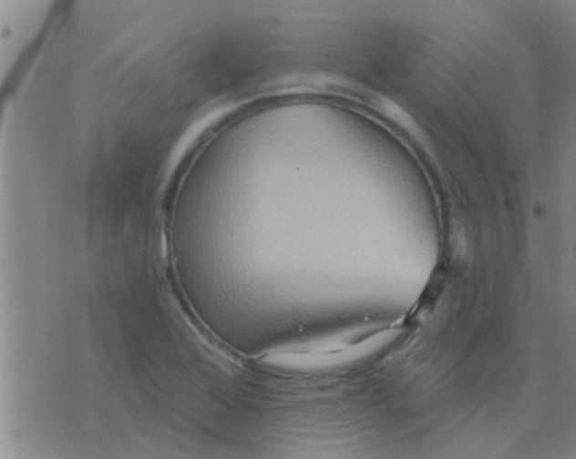 X0000075831368200610061811