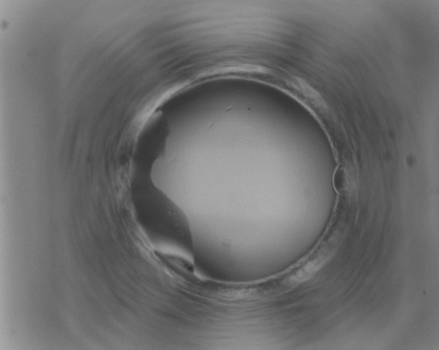 X0000075831369200610061811