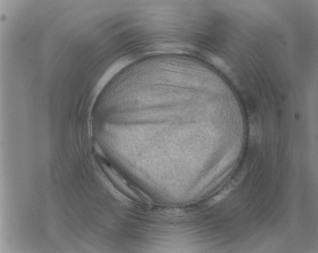 X0000075831370200610061811