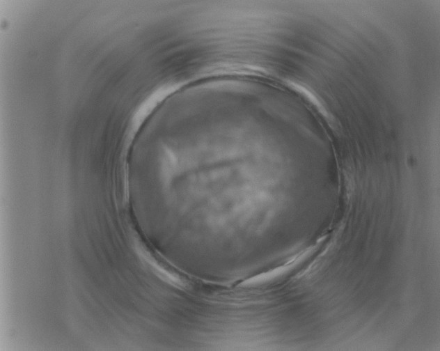 X0000075831371200610061811