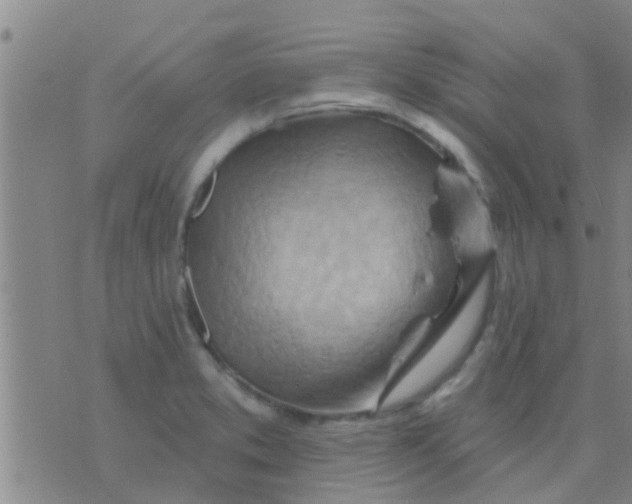 X0000075831373200610061811