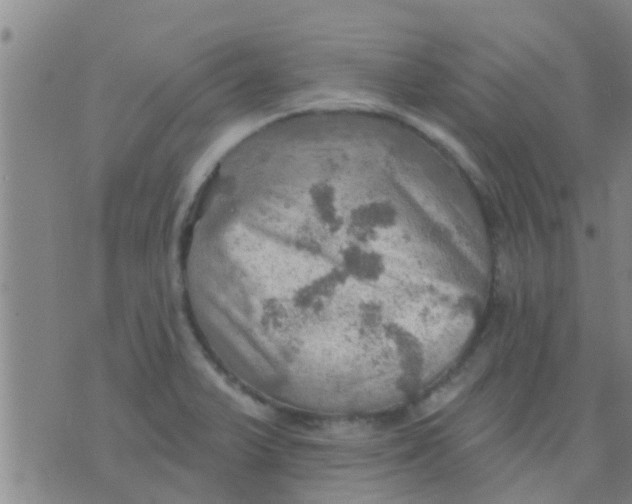 X0000075831375200610061811