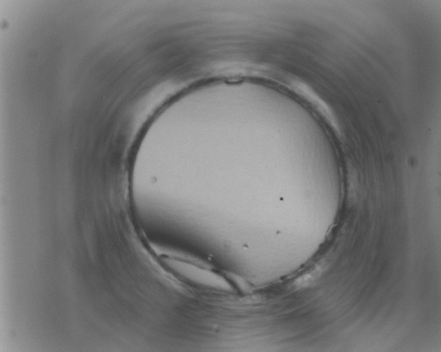 X0000075831376200610061811