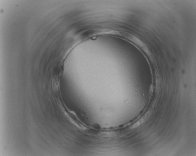 X0000075831377200610061811