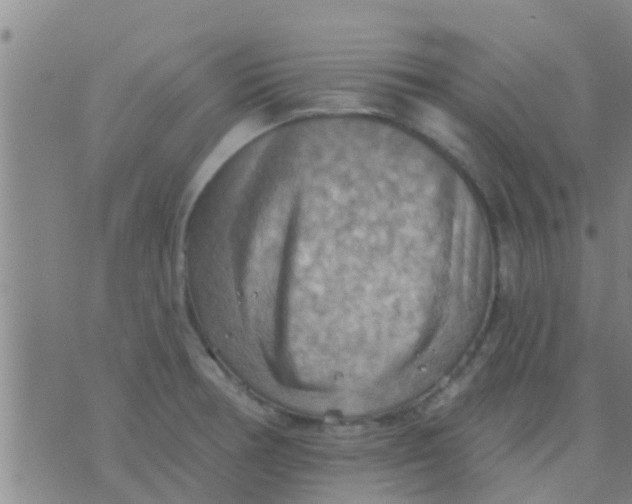 X0000075831378200610061811