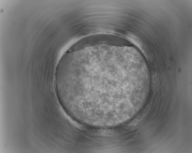 X0000075831379200610061811