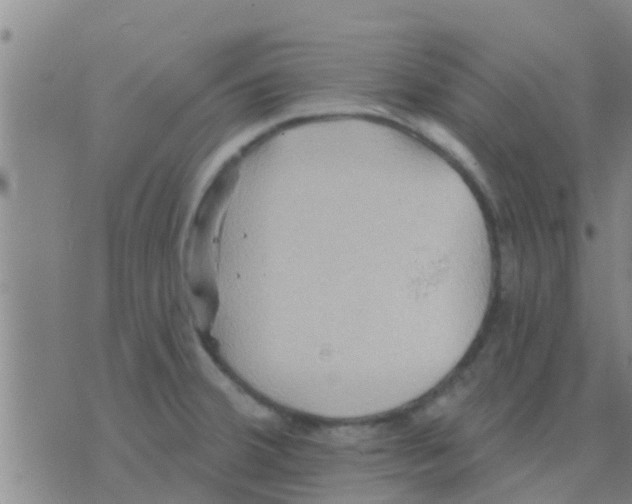 X0000075831380200610061811