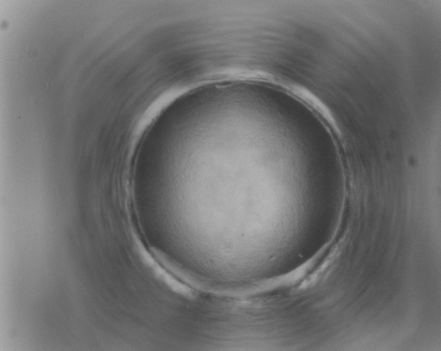 X0000075831381200610061811