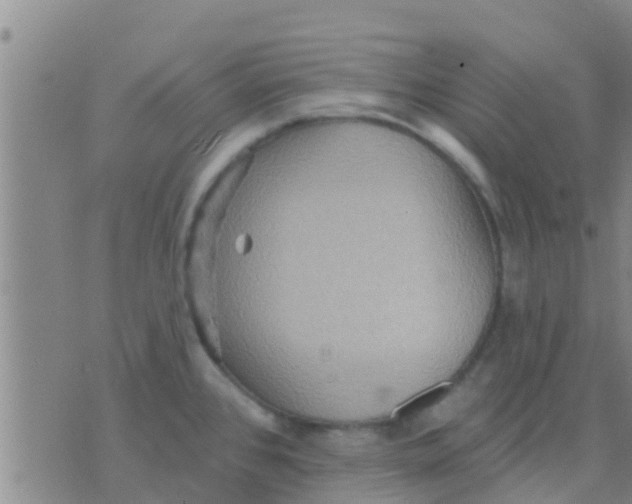 X0000075831384200610061811