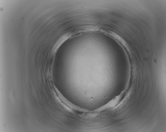 X0000075831385200610061811