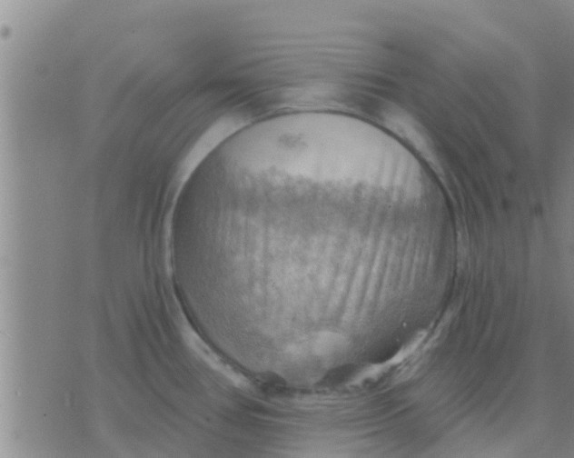 X0000075831386200610061811