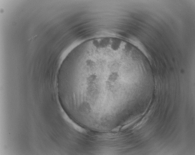 X0000075831387200610061811