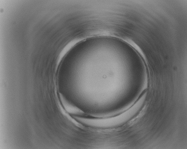 X0000075831389200610061811