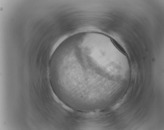 X0000075831390200610061811