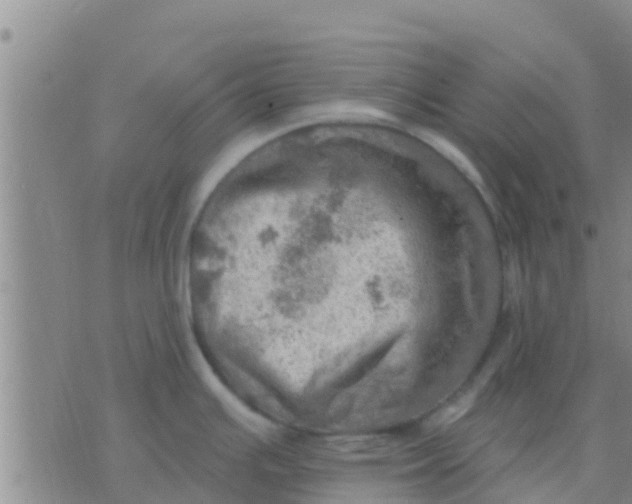 X0000075831391200610061811