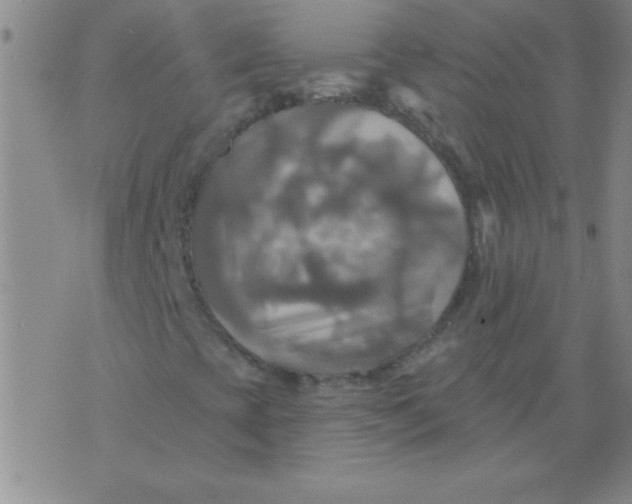 X0000075831393200610061810