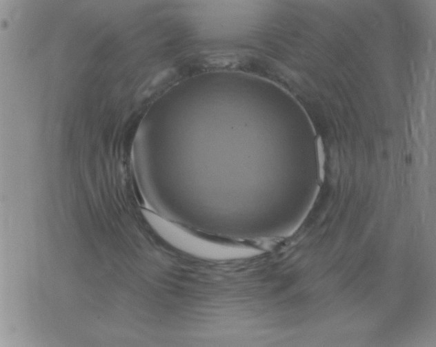 X0000075831394200610061810