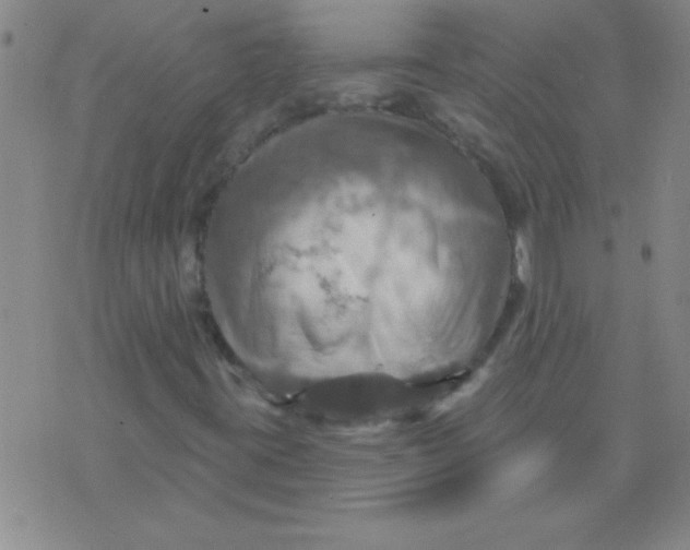 X0000075831395200610061810