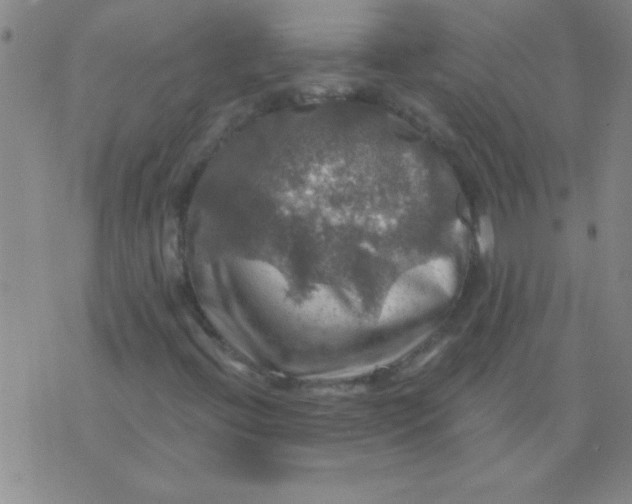 X0000075831396200610061810