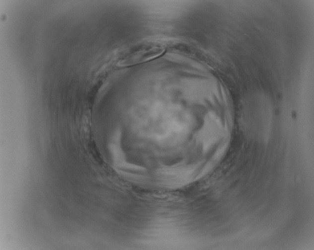 X0000075831397200610061810