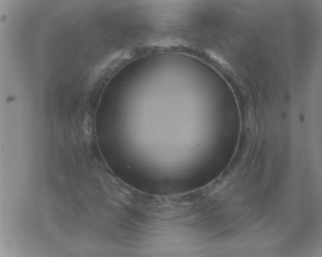 X0000075831398200610061810