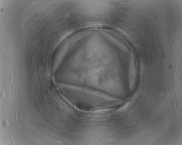 X0000075831401200610061810