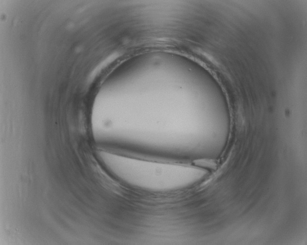 X0000075831402200610061810