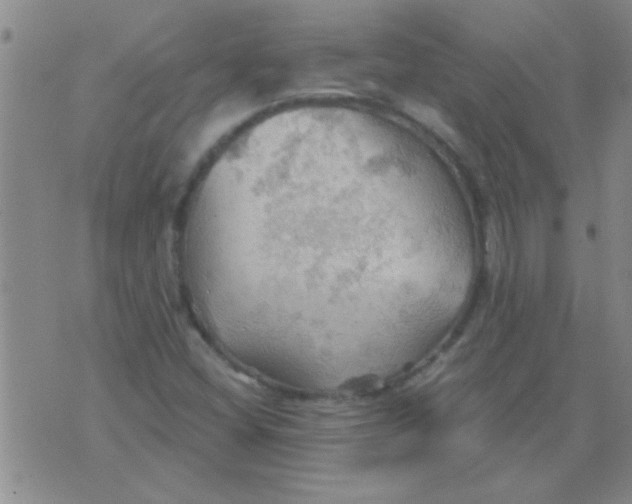 X0000075831404200610061810