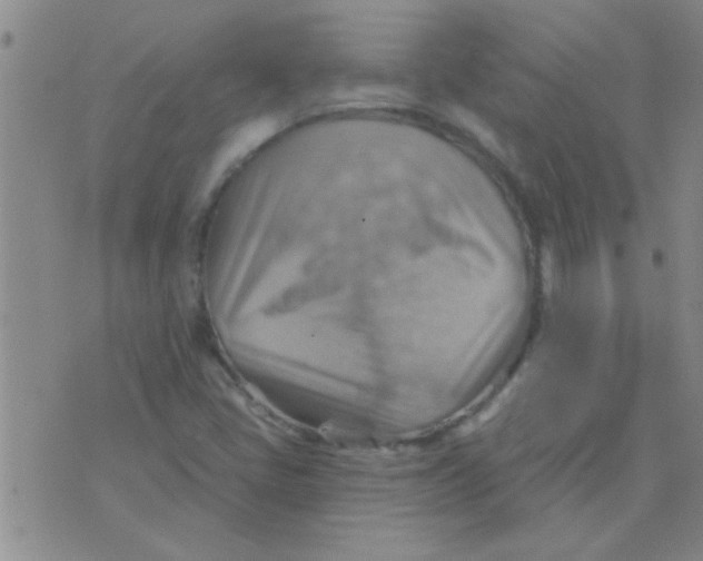 X0000075831405200610061810