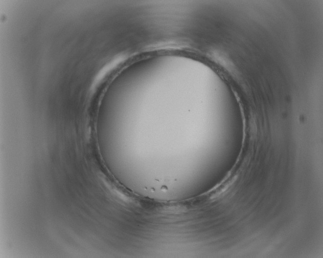 X0000075831406200610061810