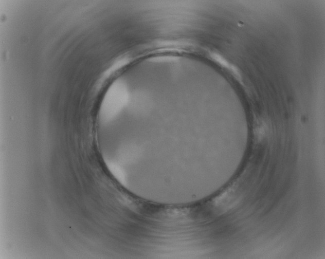 X0000075831411200610061810