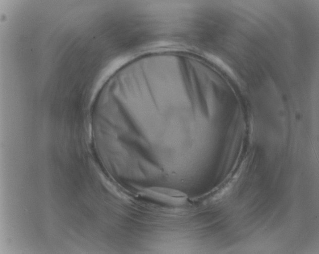 X0000075831413200610061810