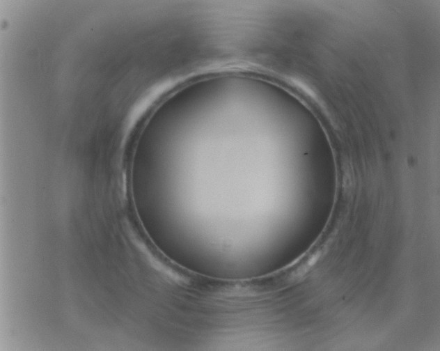 X0000075831414200610061810