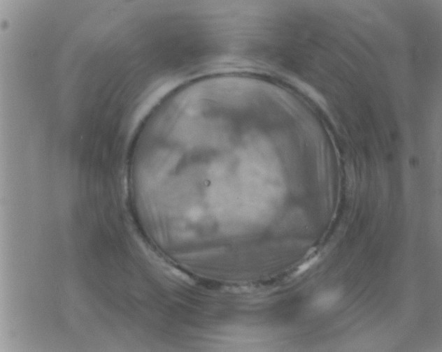 X0000075831415200610061810