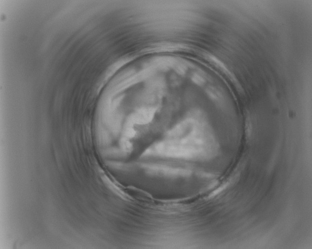 X0000075831417200610061810