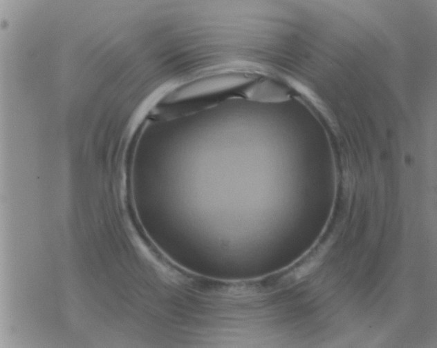 X0000075831418200610061810