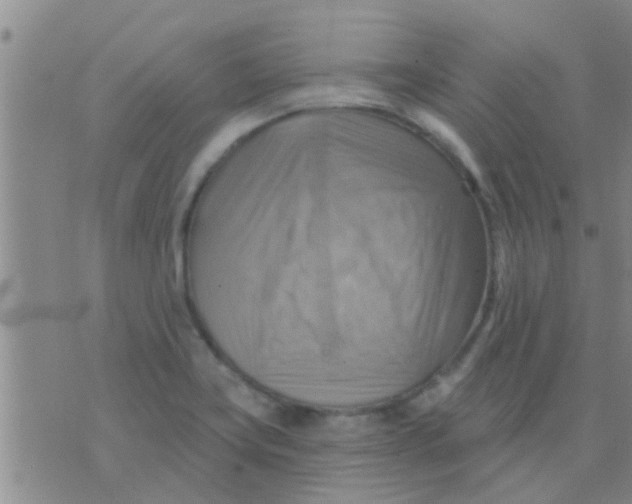 X0000075831419200610061810