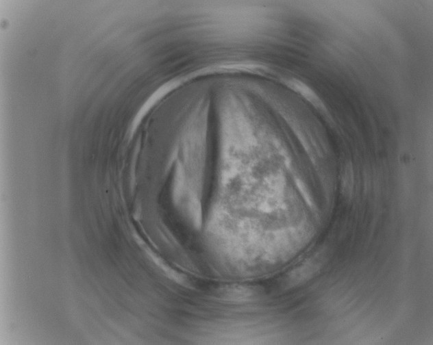 X0000075831420200610061810