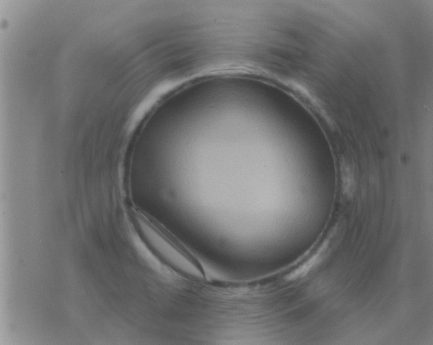 X0000075831422200610061810