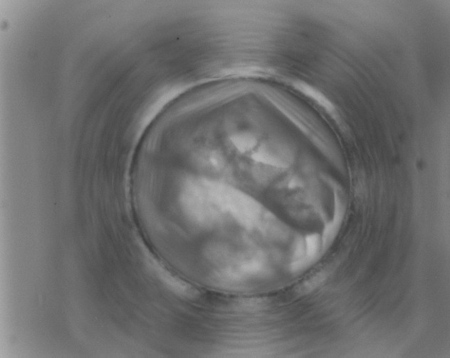 X0000075831423200610061810