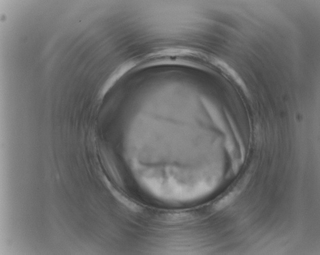 X0000075831425200610061810